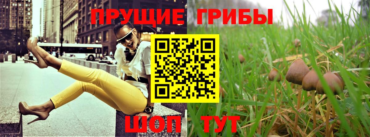 Псилоцибиновые грибы Psilocybine cubensis Усолье-Сибирское